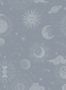 6693_2_Rebel-Walls_Planetarium_R18023-81252