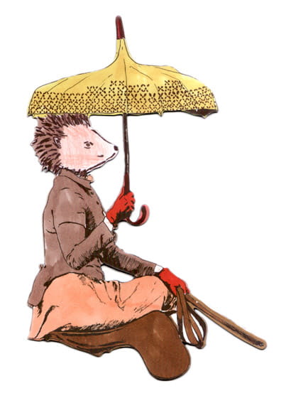 Sian Zeng Magnet Rider - Hedgehog Rider Colorful