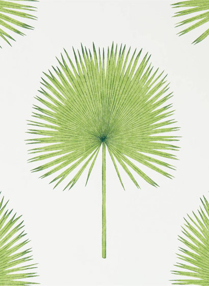 Tapete Fan Palm - Botanical Green
