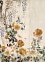 14698_5_Coordonne_Spring_Festival_Silk_B00153SK-116897