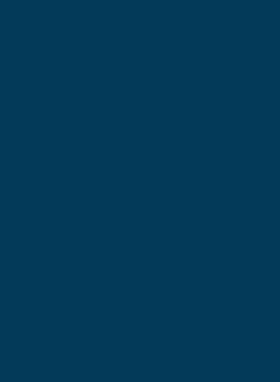 Deep Space Blue 207