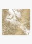 9226_2_KEK-Amsterdam_Tropical-Landscapes-Gold-2_L_MW-065n-93681