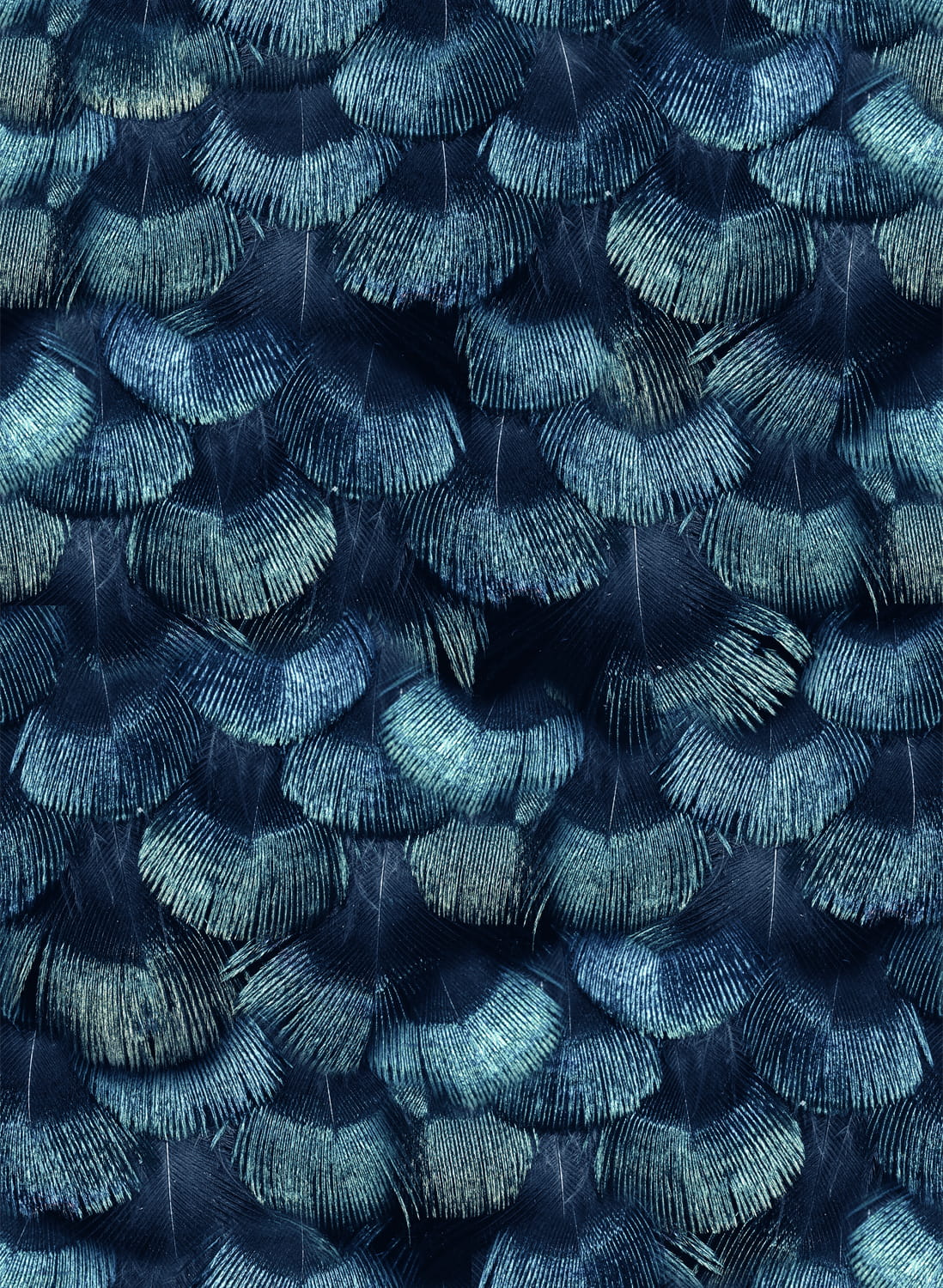 Tapete Petite Peacock Plumage - Teal