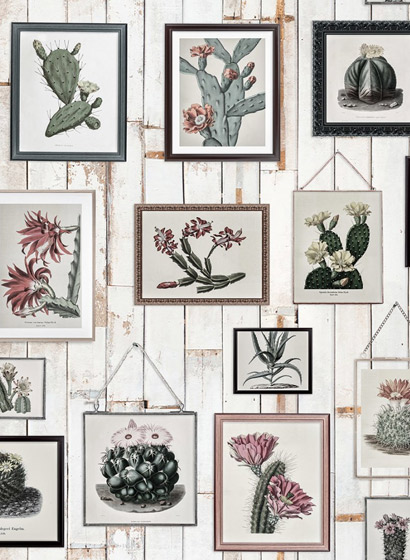 Tapete Cactus Wall Art - Faded