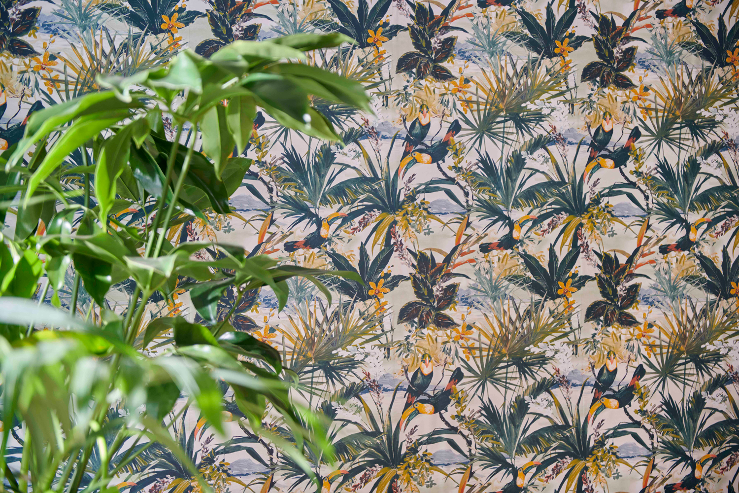 Tapete Toucan - Antique