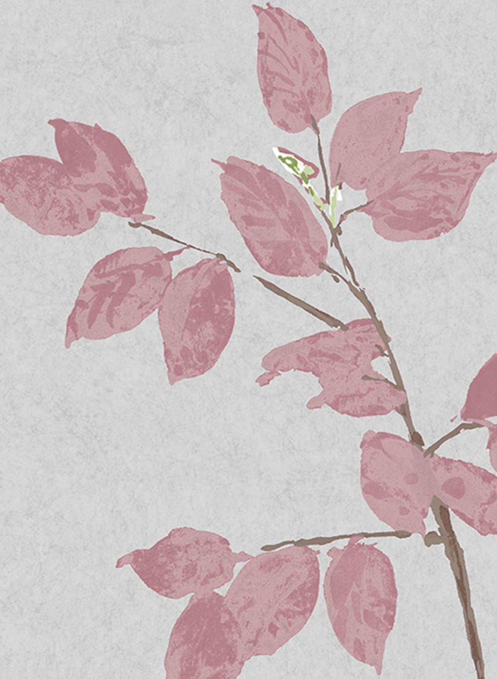 Tapete Beech - Rose