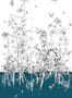 4480_6_edmont_petit_fenouil_sauvage_rm108-04_bleu-53952