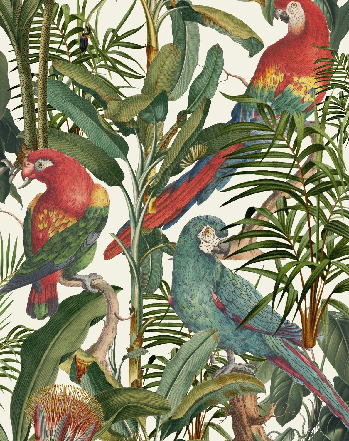 Fabric Parrots of Brasil - Linen - FB00008