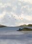 8353_1_Coordonne_Dungeness_View_A00931-113027