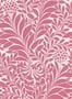 14983_05_Cole_and_Son_Honeysuckle_127_5028-153153
