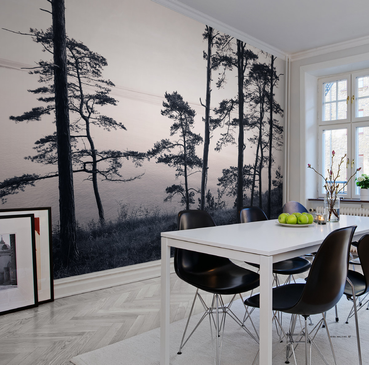 Wandbild Old Pine Trees