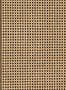 17689_01_NLXL_Natural_Webbing_MRV-20-164136