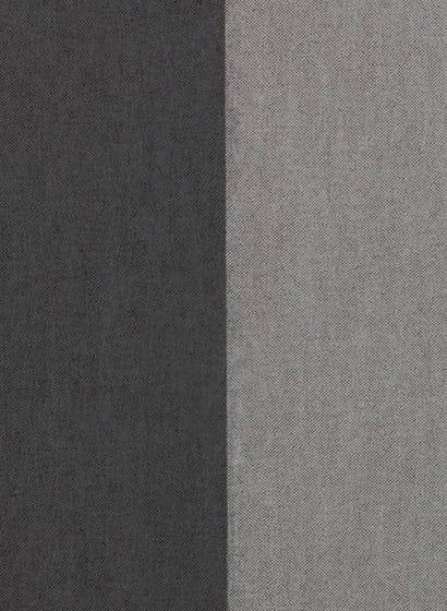 Tapete Grande Stripe - Noir de Lune et Dauphin