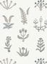 14628_1_Josephine_Munsey_Floral_Spot_FLO_024_027_037-127167