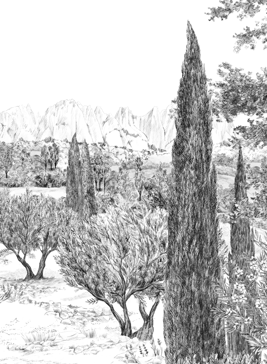 Wandbild Provence - Grisaille Panel F
