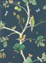 2466_7_Sanderson_Woodland_Chorus_217231-100887