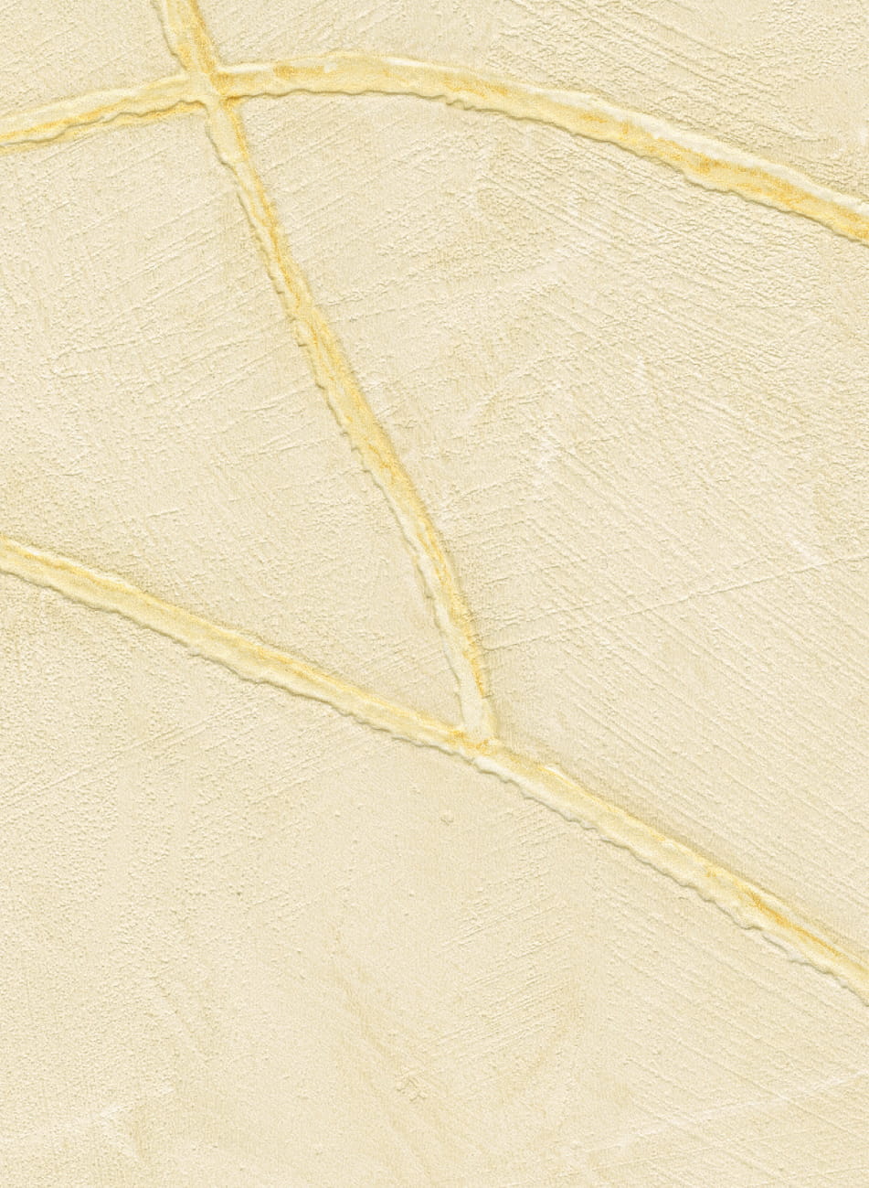 Tapete Kintsugi - VP 1004 04