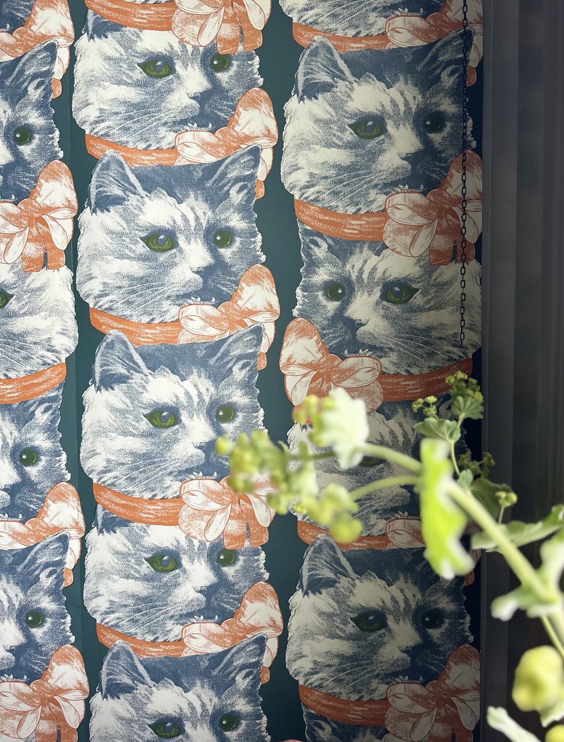 Wallpaper Crazy Cat Lady - 1702