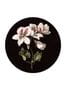 6111_2_KEK_Amsterdam_White_Flowers_Circle_M_CK-071-74190