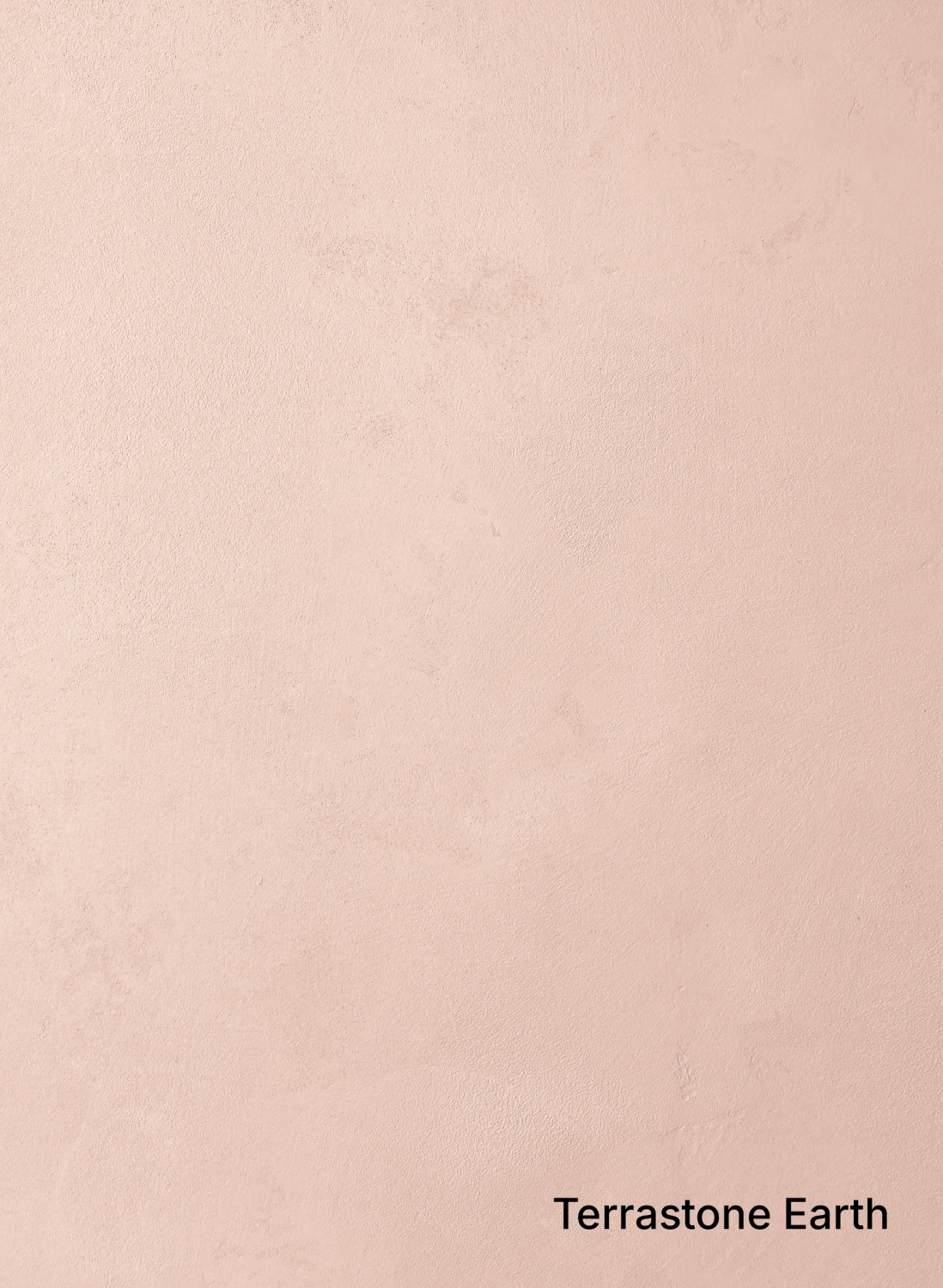Rosa Cipria - 1