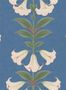 5702_2_cole_son_angels_trumpet_117-3008-59201