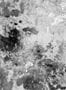 3652_2_rebel_walls_fragments_r15472-30231