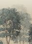 15337_02_Sandberg_Charles_S10638-170579