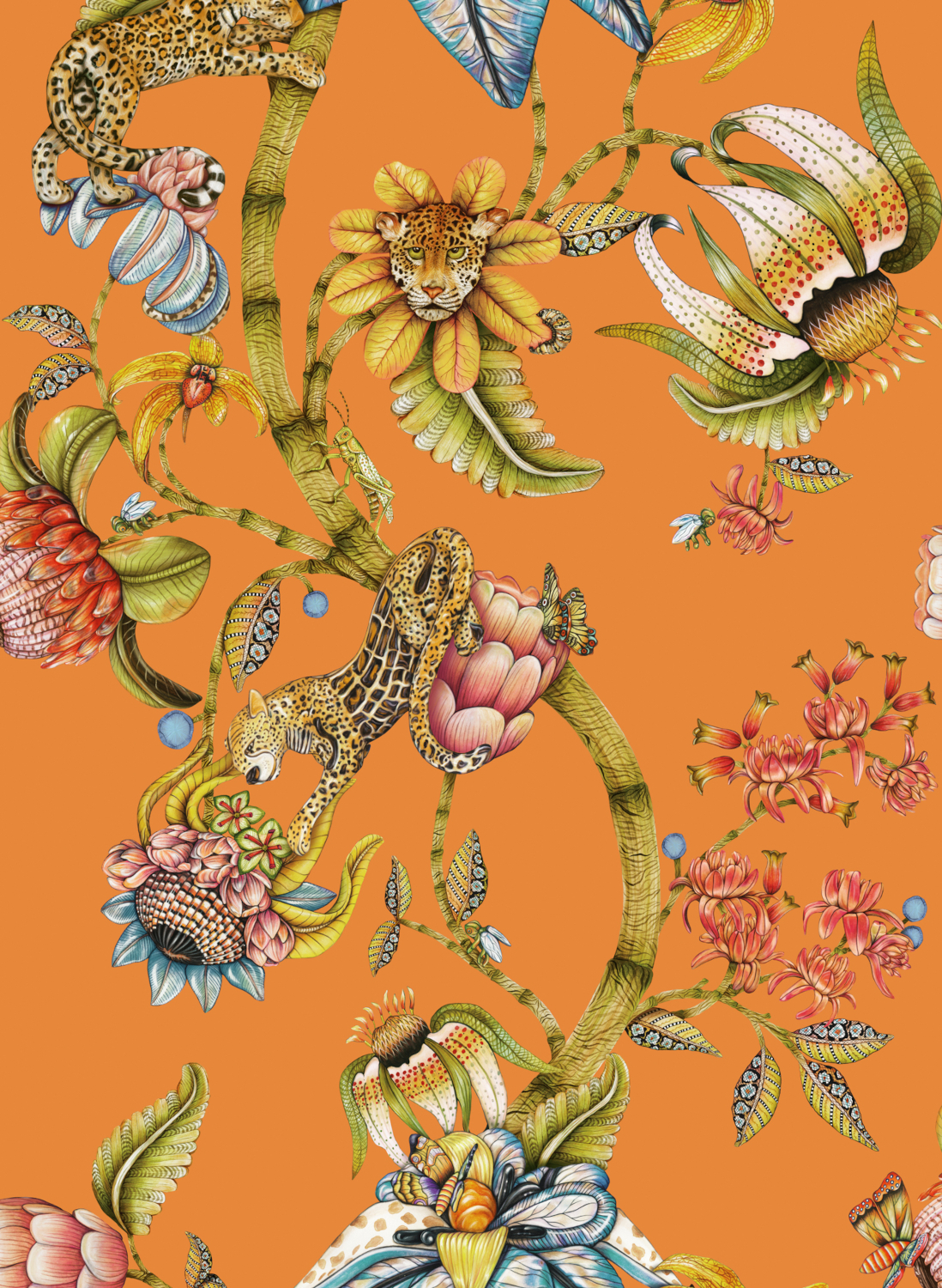 Tapete Protea Panthera - Clementine