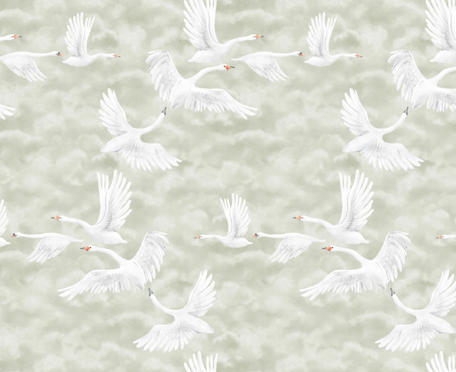Wandbild Clouds Swans - 9414W