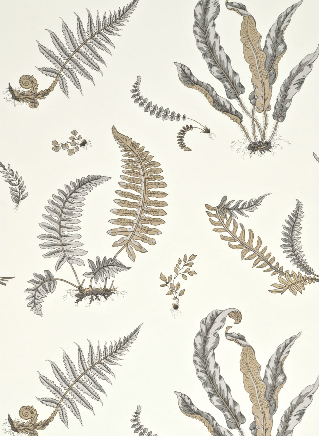 Tapete Ferns - Dove Grey/ Silver