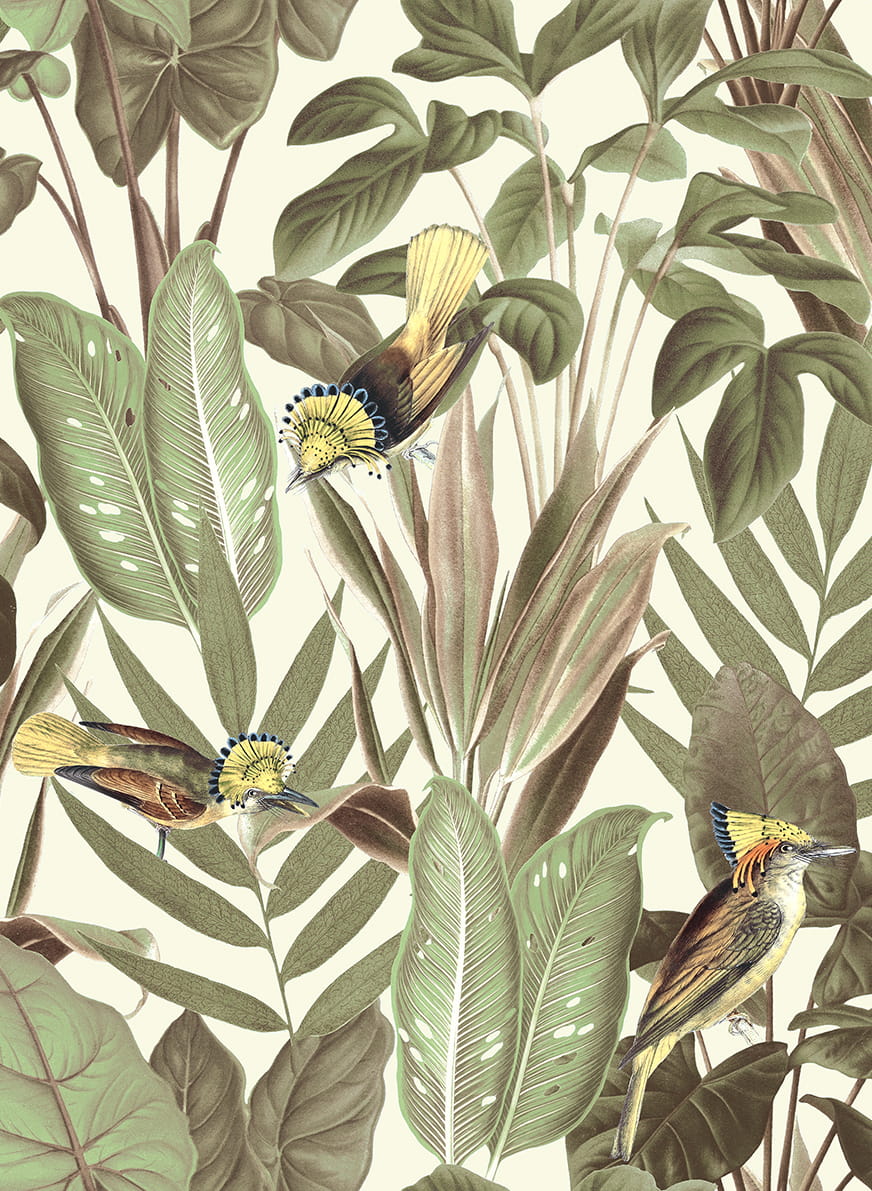 Tapete Birds of Paradise - Bright Dawn