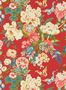 6710_1_Sanderson_Emperor-Peony_217119-85709