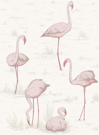 Tapete Flamingos - Pink