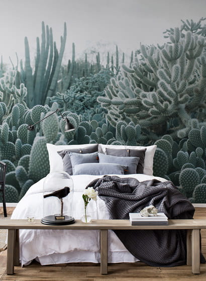 Wandbild Cacti