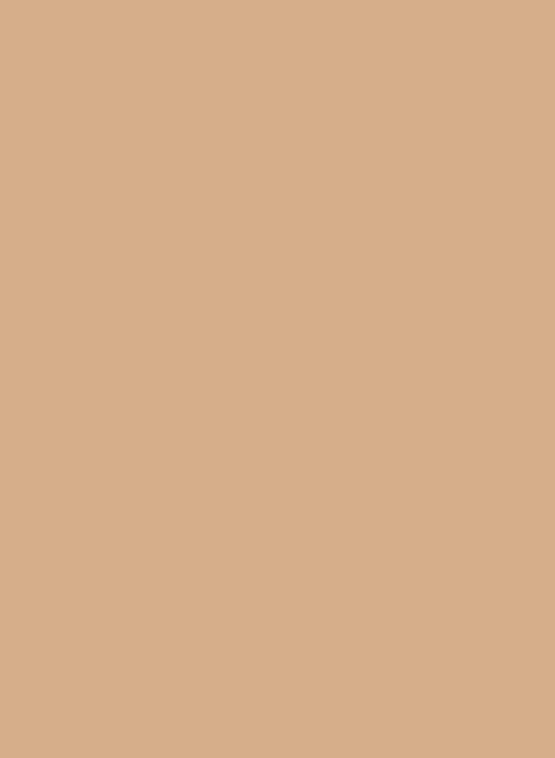 Dutch Pink 62