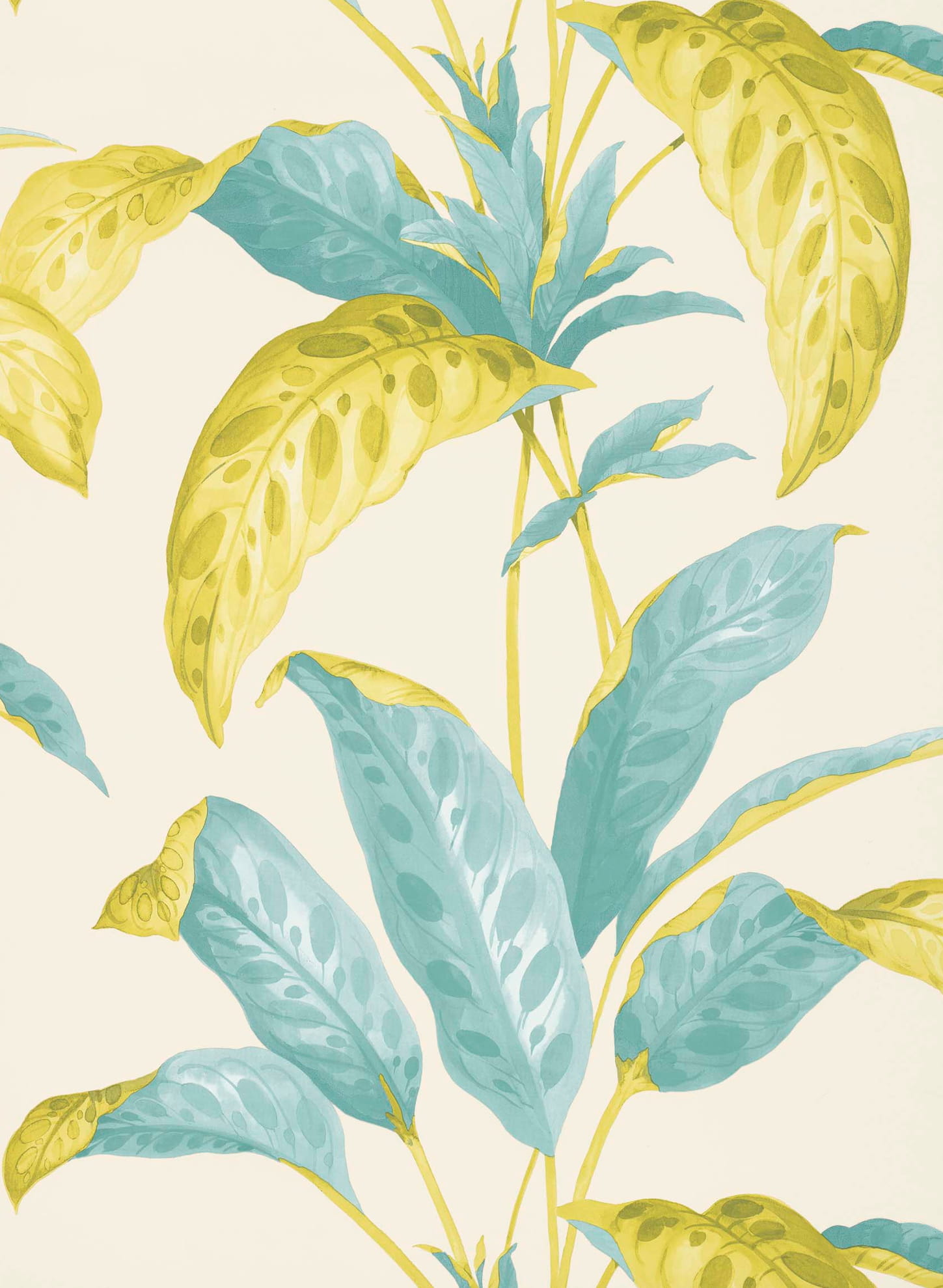 Tapete Tropicane - Scallion