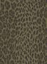 2614_02_House_of_Hackney_Wild_Card_1-WA-WIL-DI-LAU-XXX-188209