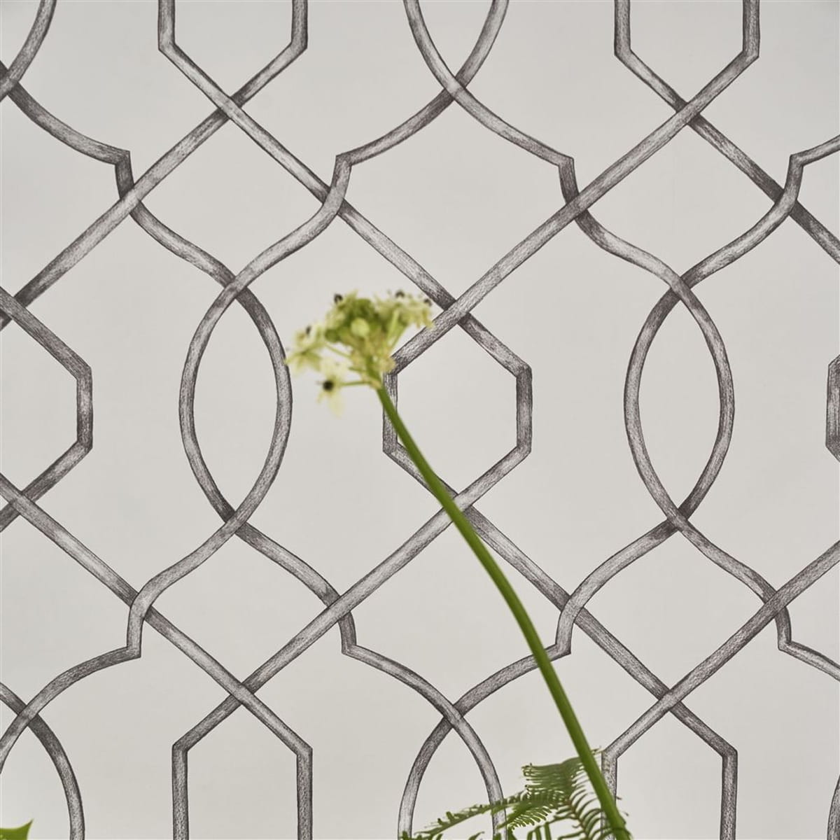 Wallpaper Rabeschi - Black and White
