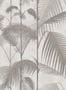 3355_3_cole-and-son_palm-jungle-icons_112_1004-29209