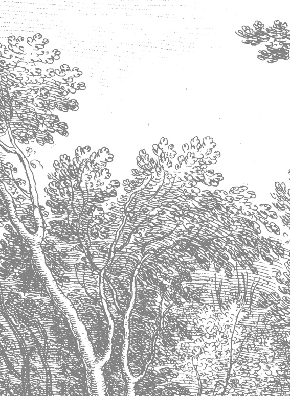Wandbild Engraved Landscapes 3 - BW - Breite 3.896m