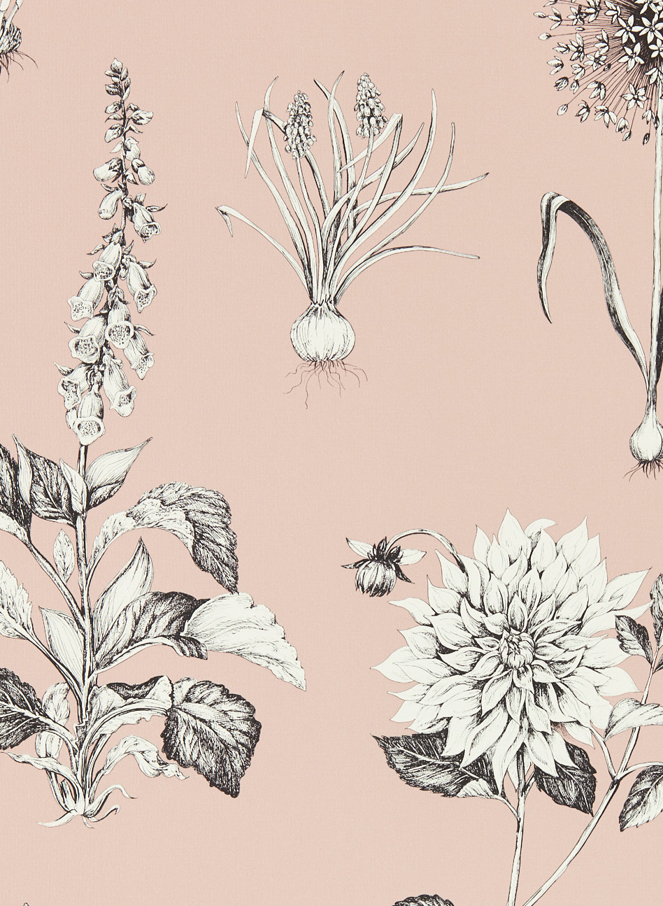 Tapete Roseraie - Blush