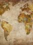 2377_1_rebel_walls_maps_world_map_r10771-25142