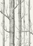 1267_1_Cole_and_Son_Tapete_Woods_69-12147_-79901