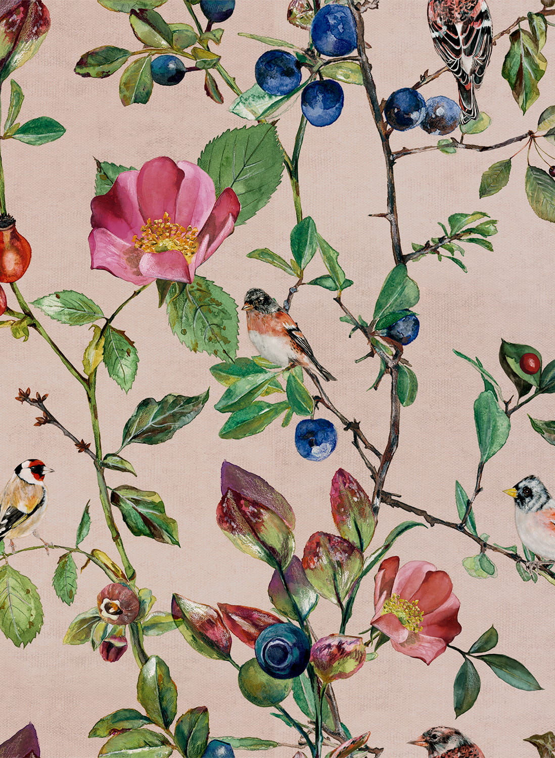 Tapete Goldfinch Song - Blush
