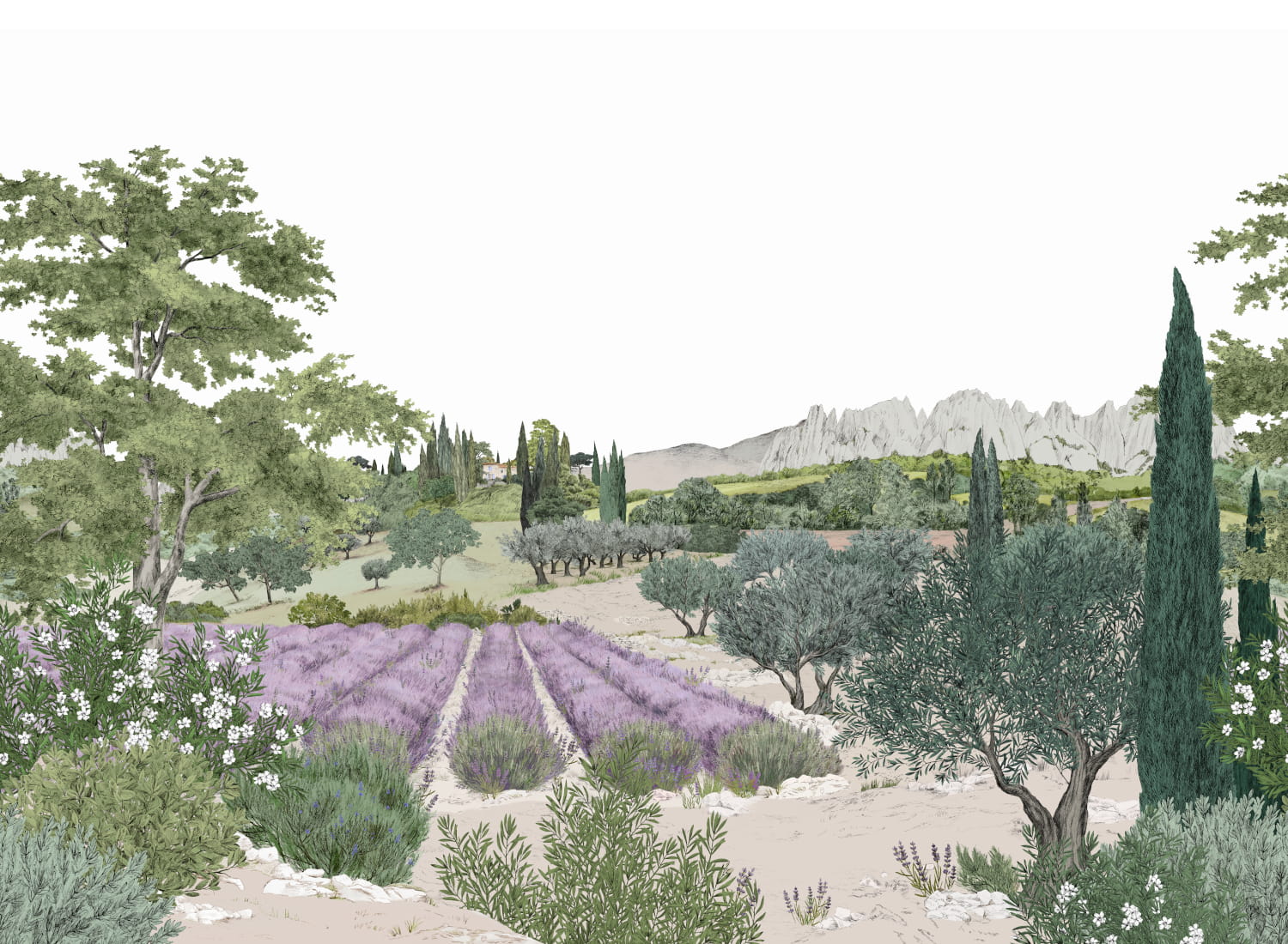 Wandbild Provence - Été Panel A