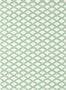 18198_02_Scion_Scallop_Frill_113394-186192