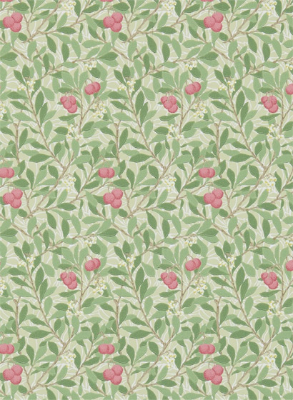 Tapete Arbutus - Olive/ Pink