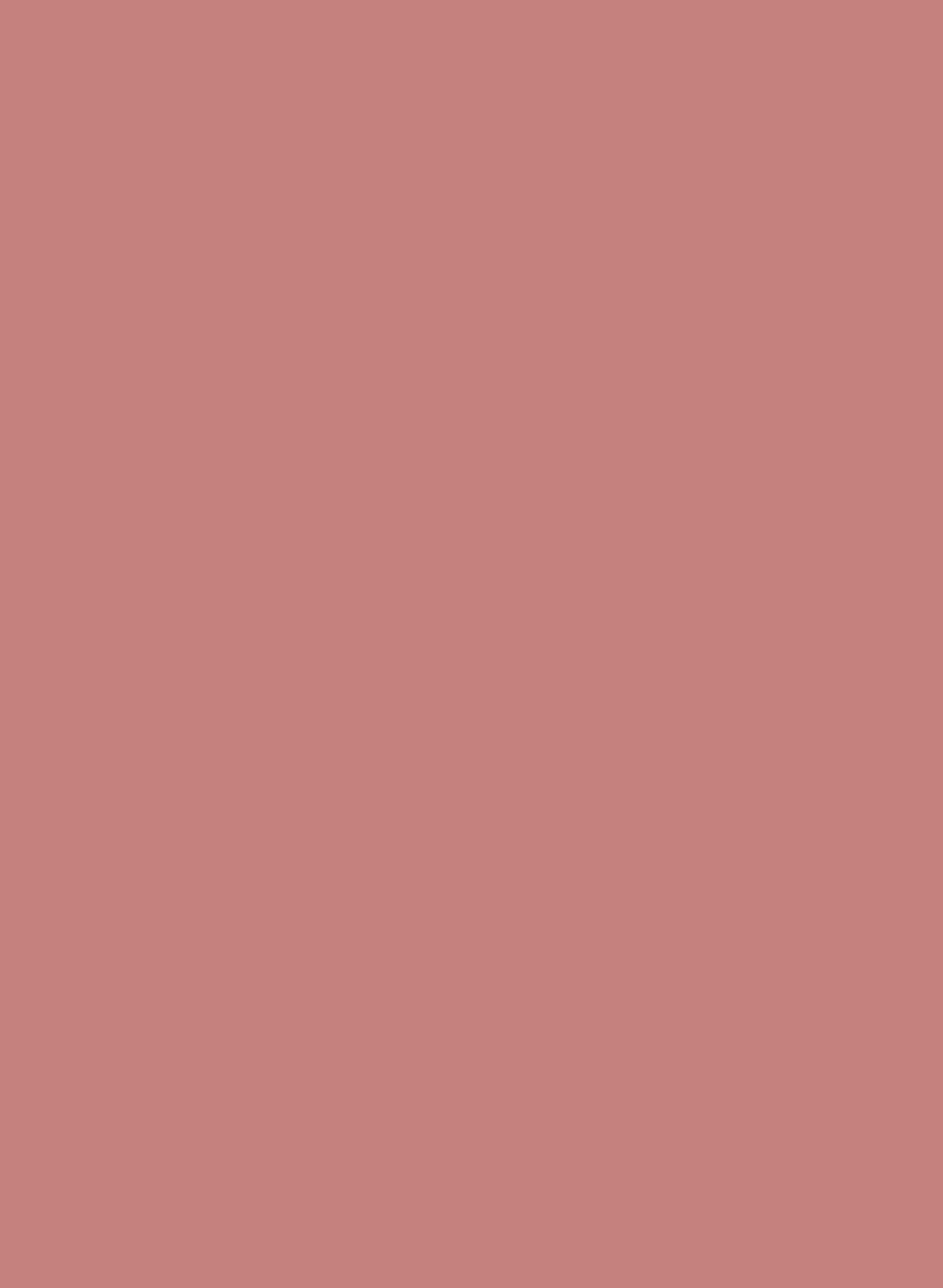 Fruit Fool 9911