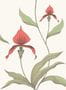 1470_1_Cole_and_Son_Orchid_95-10054-87280