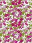 14758_2_Jannelli_and_Volpi_D_Amour_25508-131157